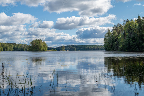 Summer view of Liesjarvi National Park and Lake, Tammela, Finland