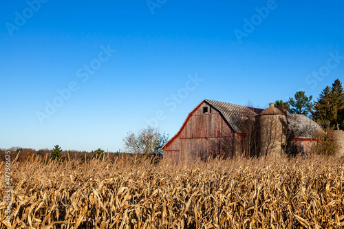 Weathered barn and silo next to a cornfield in October
