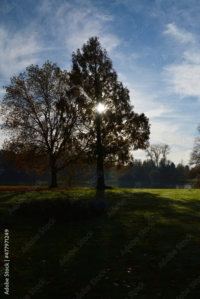 Obraz premium Herbst Landschaft am Fluss Böhme in Walsrode, Niedersachsen