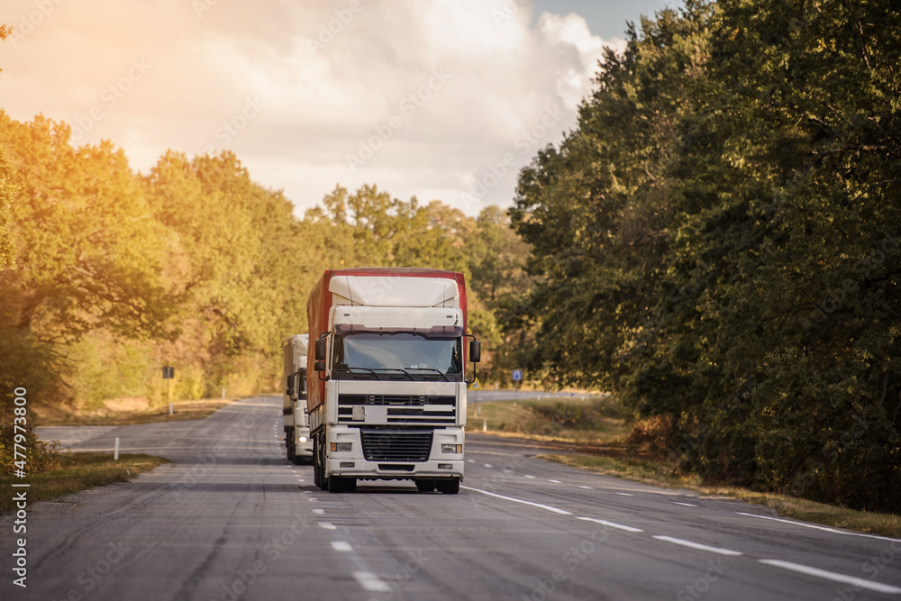 Truck driving on the road through forest.