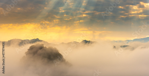 Tropical forrest limestone mountain peak in sea of clouds at sunrise with fog.