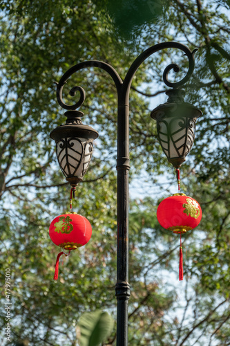 Red lanterns are hung on the trees under the blue sky, with the Chinese word "Fu", which means "lucky"