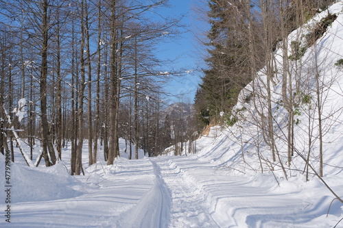 Snow and trail at snow way or road, winter concept at top of the mountain. winter but sunny day at mountain peak © SKahraman