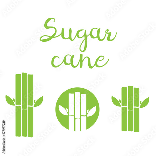 Sugar cane vector. sugarcane icon isolated