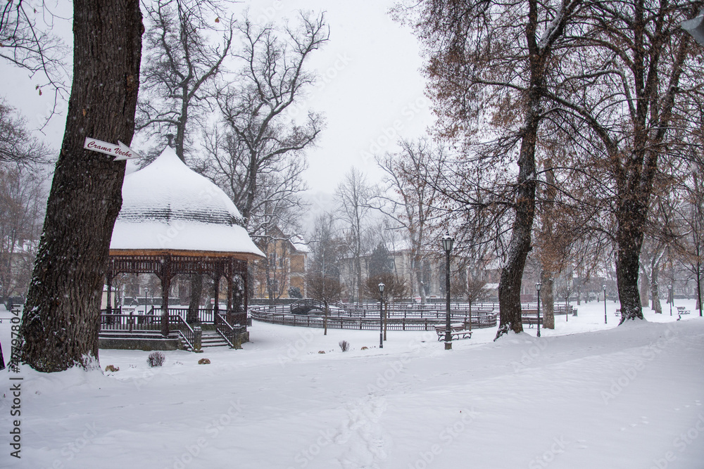 winter  in  park in December 2021, Bistrita, Romania 