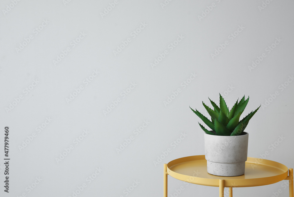 Yellow coffee table with houseplant near light wall