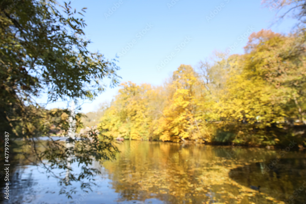 Blurred view of pond in beautiful autumn park