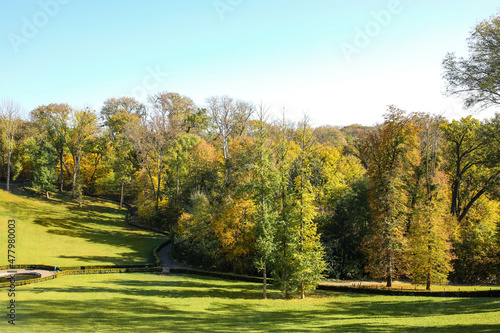 Autumnal forest landscape w...