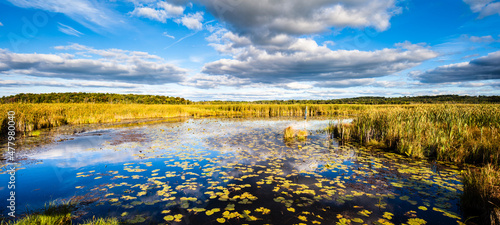 Fall and the River