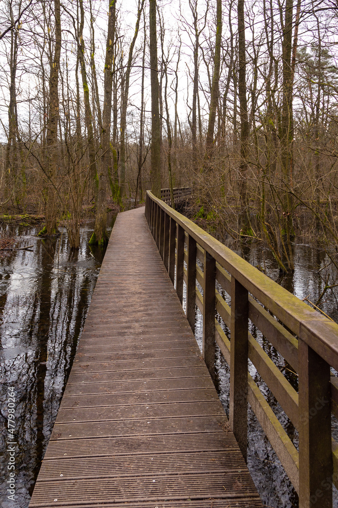 A wooden footbridge over the swamps, Poland.