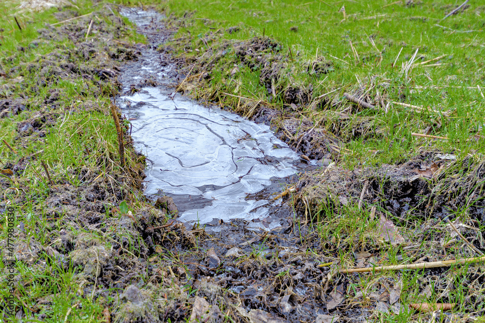 Frozen puddle in a clearing. Frozen puddle in a clearing.