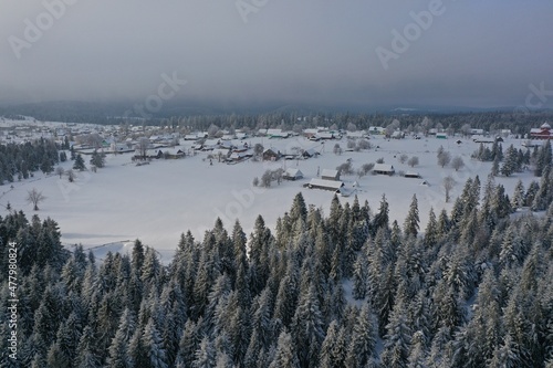 Carpathians, Ukraine, Lviv region, Syanky village, winter forest, winter Carpathians forest, snowy Christmas trees, drone