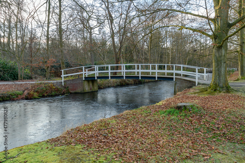 A footbridge over a frozen water channel. Klingendael park. The city of Den Haag. Netherlands