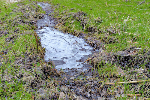 Frozen puddle in a clearing.