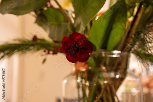 red flower in a glass