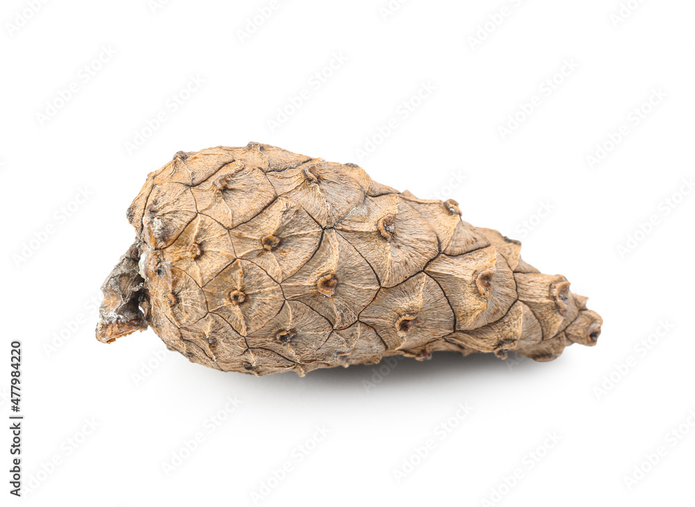 Beautiful pine cone on white background Beautiful pine cone on white background