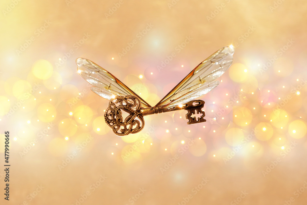 magical flying key meaning with dragonfly wings - obrazy, fototapety, plakaty 