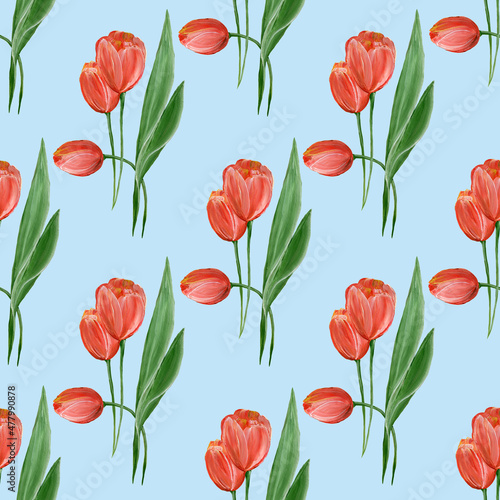 Floral seamless pattern with red tulips on a blue background. tulips. Watercolor botanical illustration. For fabric  wallpaper  postcards.