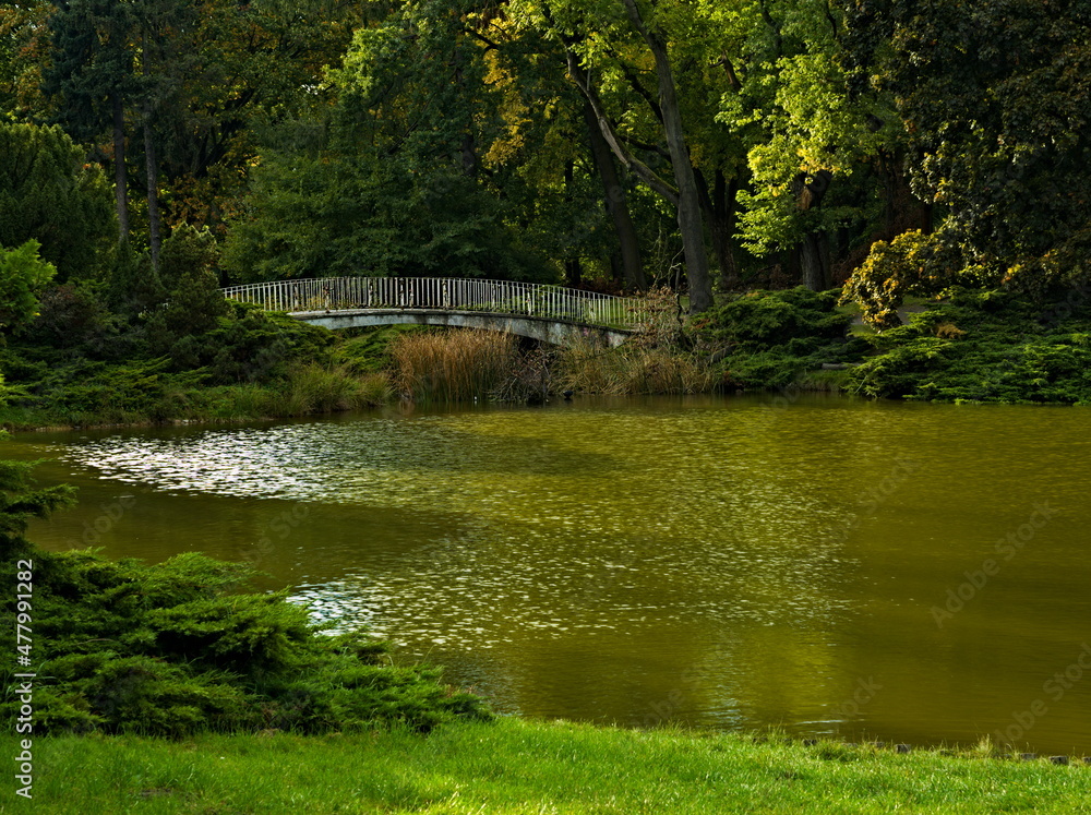 Photo of the autumn park. City park. Photo of the pond in the park, in the sunshine Photo of the autumn park. City park. Photo of the pond in the park, in the sunshine