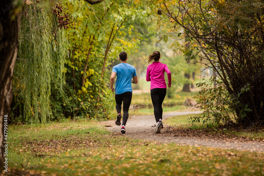 Running together in the park between the trees Running together in the park between the trees