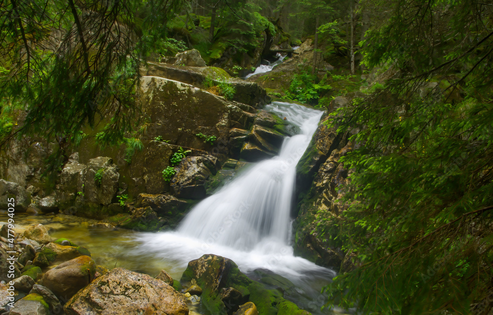Waterfall in the deep forest. Deep mossy forest waterfall landscape. Waterfall in the deep forest. Deep mossy forest waterfall landscape.