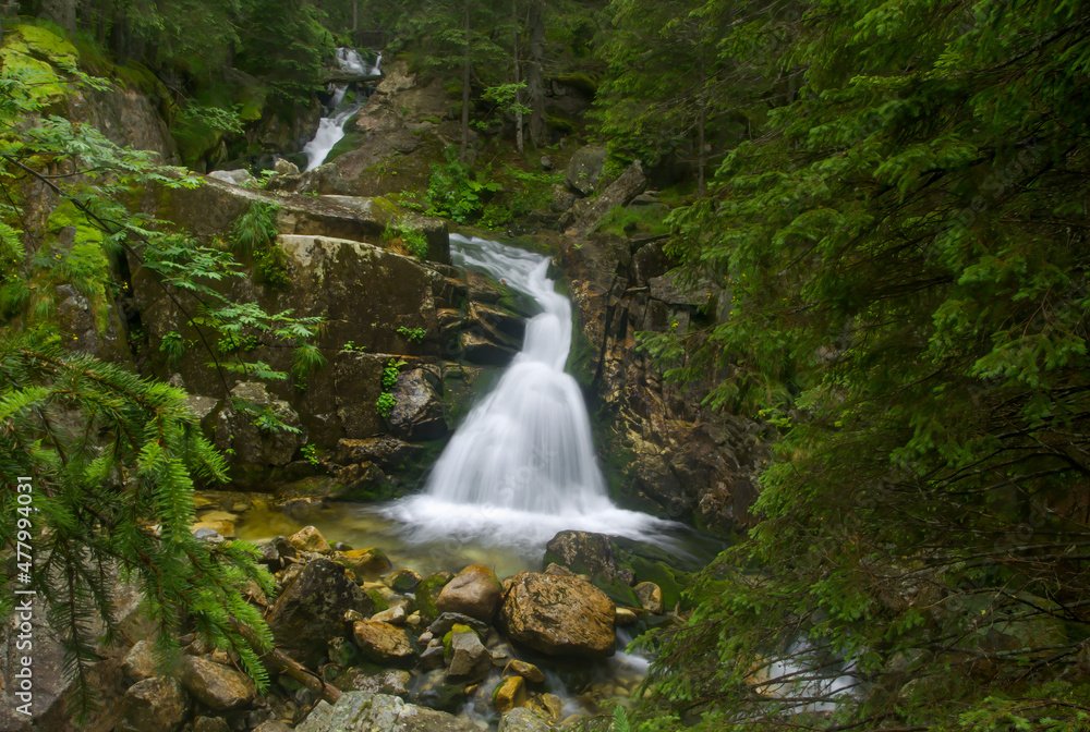 Fototapeta premium Close up view waterfall in deep forest at National Park. Waterfall in deep forest scene.
