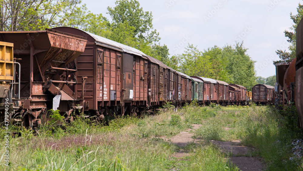 Old and abandoned train wagons in a forest at a lost place railway station in austria