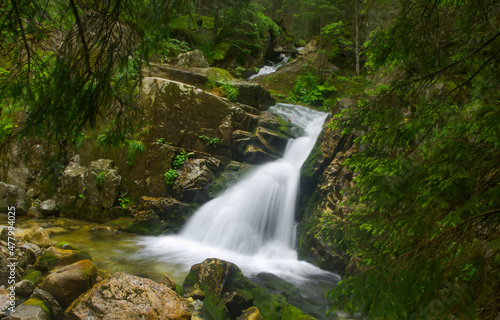 Waterfall in the deep forest. Deep mossy forest waterfall landscape.