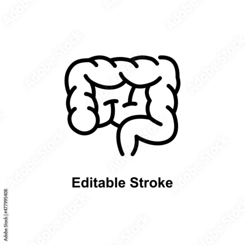 human intestine icon designed in outline style in editable stroke for human anatomy icon theme
