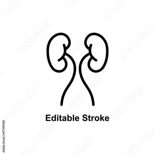 human kidney icon designed in outline style in editable stroke for human anatomy icon theme