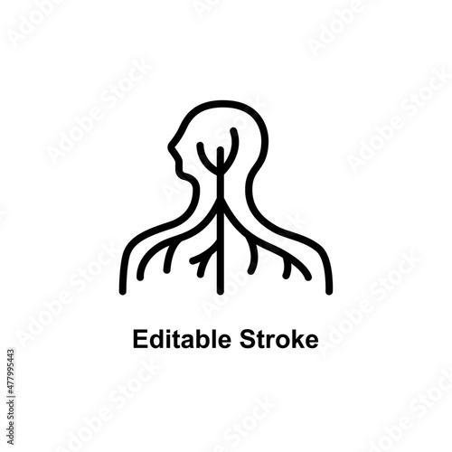 human nervous system icon designed in outline style in editable stroke for human anatomy icon theme