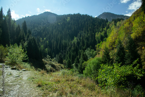 Wallpaper Mural A beautiful landscape of summer mountains, filled with rich and vibrant colors. Torontodigital.ca