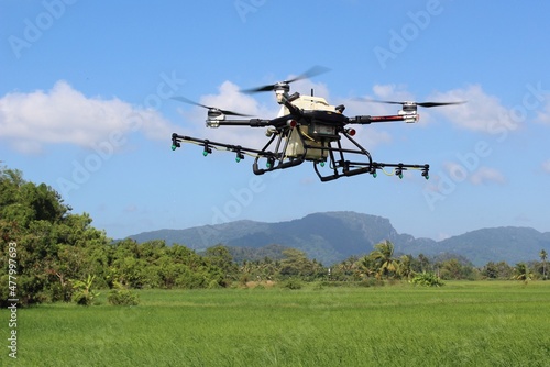 Agricultural drone use to spray pesticides in paddy field