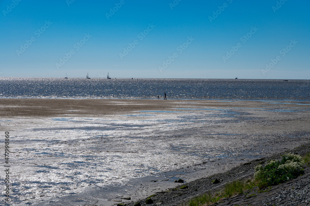 Walking on beach of Harlingen fisherman town on Wadden sea, Friesland, Netherlands at low tide