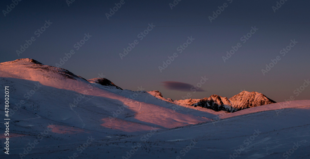 Naklejka premium I colori della neve