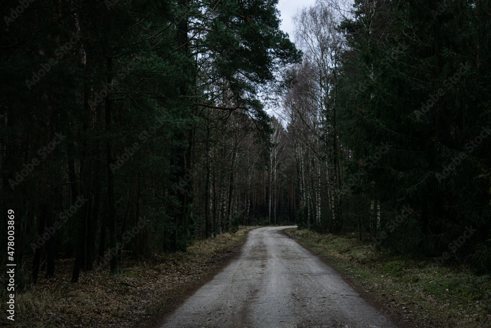 Fototapeta premium droga