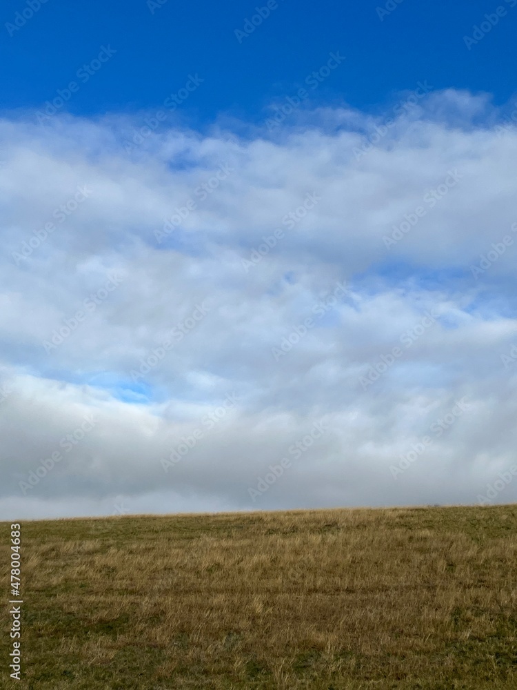 field and sky field and sky