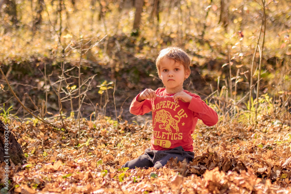 boy 4 years old sits in leaves in nature on a sunny warm autumn day boy 4 years old sits in leaves in nature on a sunny warm autumn day
