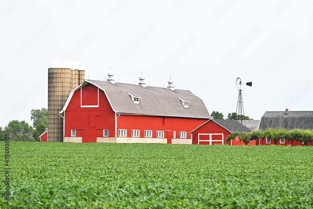 Obraz premium Barns and Windmill