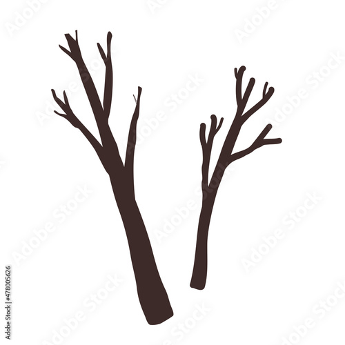 Set of two dry old branches on white background