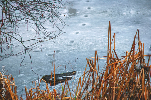 snowy lake with wolf footprints. abstract composition