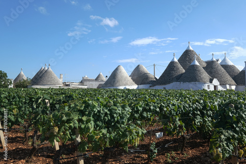 Beautiful Puglia landscape with traditional old Trullo or Trulli houses with vineyard, Puglia, Italy