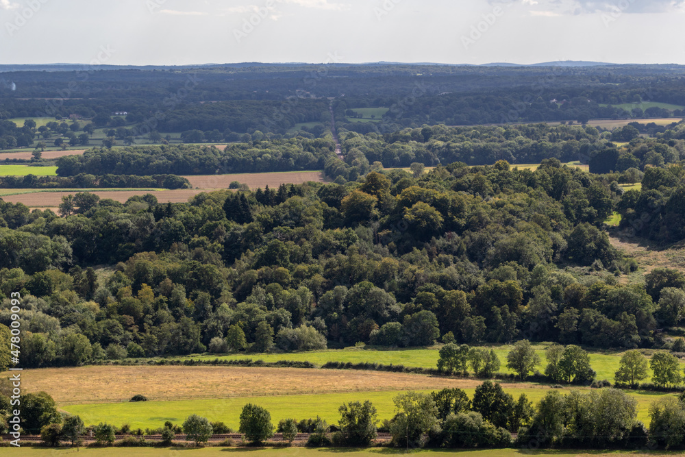 landscape with trees