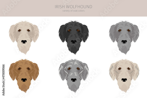Irish wolfhound clipart. Different poses, coat colors set