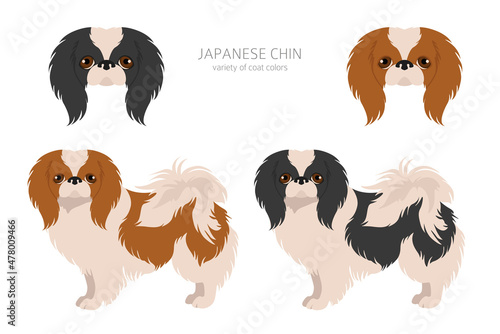 Japanese chin clipart. Different poses, coat colors set