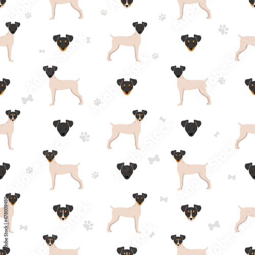 Japanese terrier seamless pattern. Different poses, coat colors set