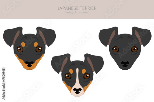 Japanese terrier clipart. Different poses, coat colors set