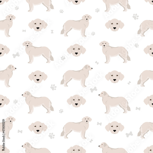 Kuvasz seamless pattern. Different poses  coat colors set