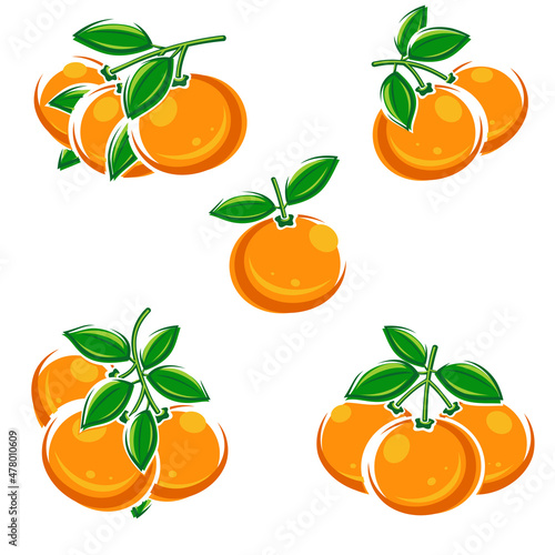 Mandarin set. Collection icons mandarin. Vector