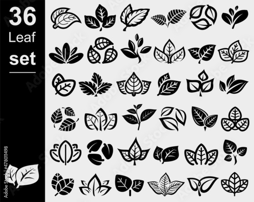 Collection leafs set. Leafs сollection icon. Vector © VKA